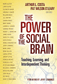 books-the-power-of-the-social-brain-teaching-learning-and-interdependent-thinking.gif