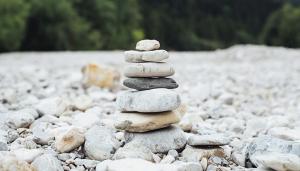 Contemplative Pedagogy and the Religious Studies Classroom: Editor’s Introduction