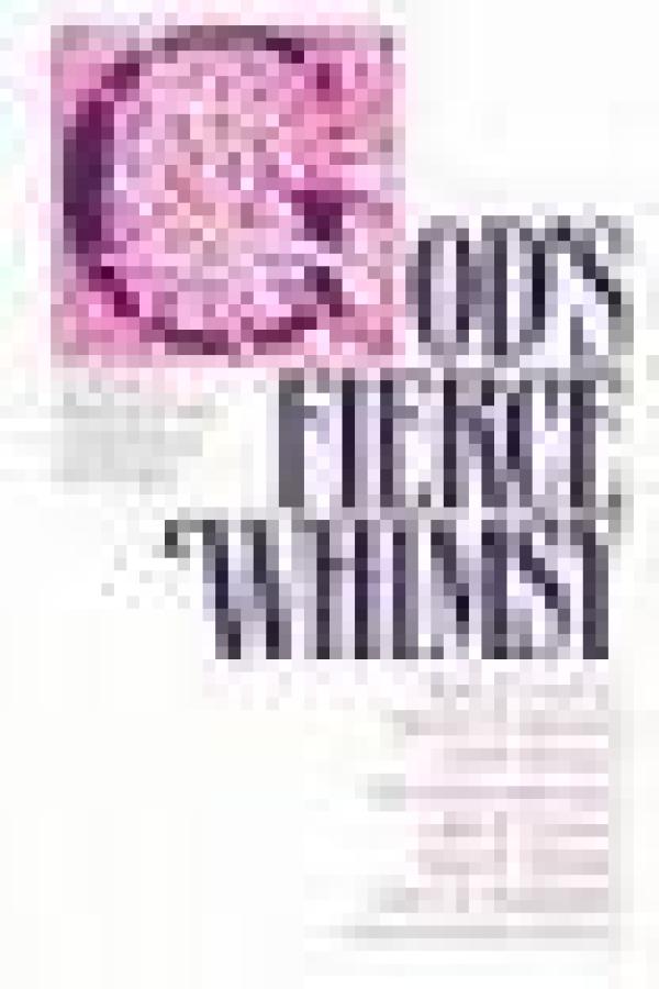 God’s Fierce Whimsy: Christian Feminism and Theological Education
