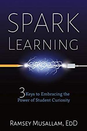 Spark Learning: 3 Keys to Embracing the Power of Student Curiosity