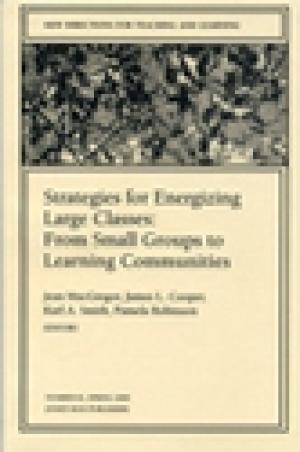 Strategies for Energizing Large Classes: From Small Groups to Learning Communities