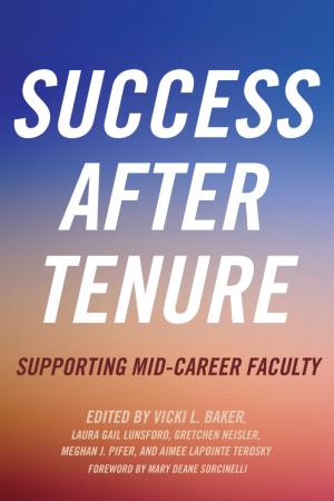 Success After Tenure: Supporting Mid-Career Faculty
