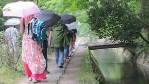 Teaching and Learning in Faculty-Led, Short-Term Study Abroad Programs: Editor’s Introduction