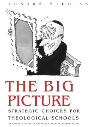 The Big Picture: Strategic Choices for Theological Schools