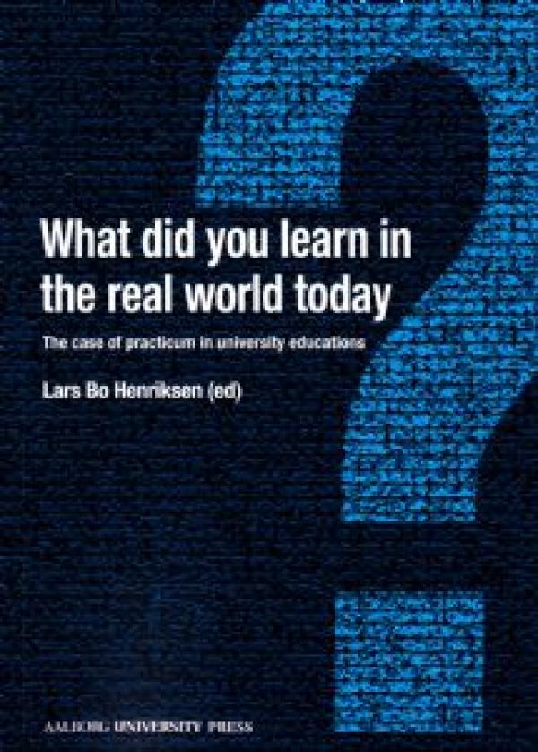 What did you learn in the real world today?: The case of practicum in university educations