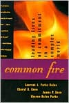 scholarship-common-fire-leading-lives-of-commitment-in-a-complex-world.jpeg