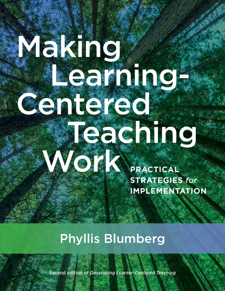 scholarship-making-learning-centered-teaching-work-practical-strategies-for-implementation.jpeg