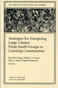 scholarship-strategies-for-energizing-large-classes-from-small-groups-to-learning-communities.jpeg